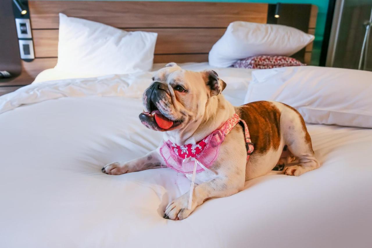 Novotel Sorocaba Eksteriør bilde